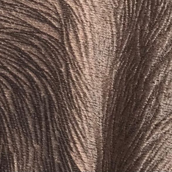 whatsapp image 2025 12 29 at 02.08.48 2