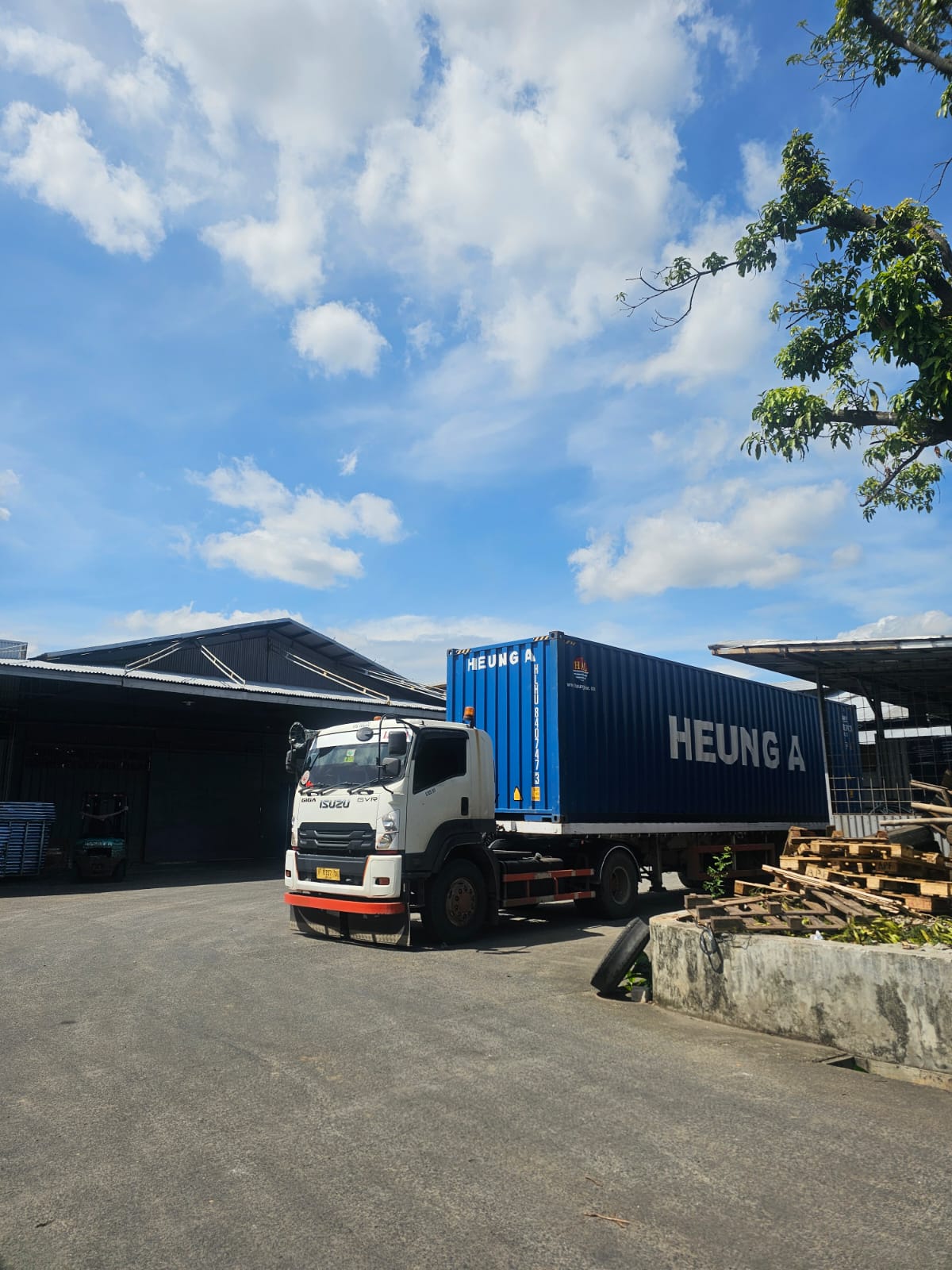 whatsapp image 2026 01 15 at 03.20.29